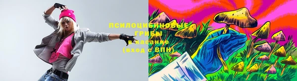 соль ск Новодвинск