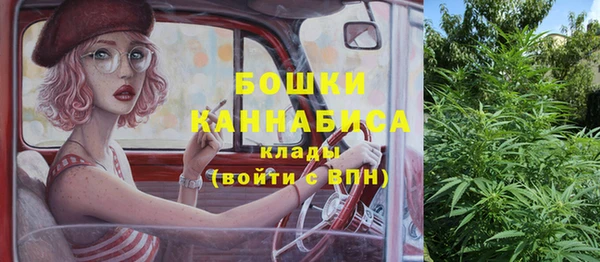 гидра Нея