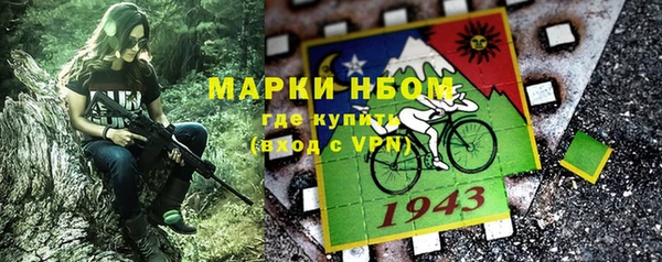индика Орехово-Зуево
