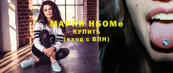 гидра Нея