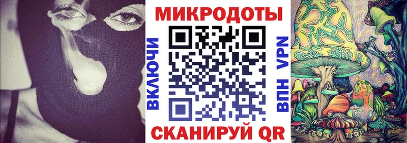 Псилоцибиновые грибы Psilocybe Армянск